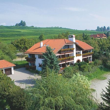 Hotel Alpina Hagnau Exteriér fotografie